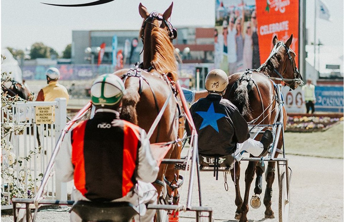 Dunstan Horsefeeds Return to Racing