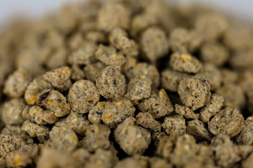 Extrusion - What’s it’s all About in Equine Nutrition.