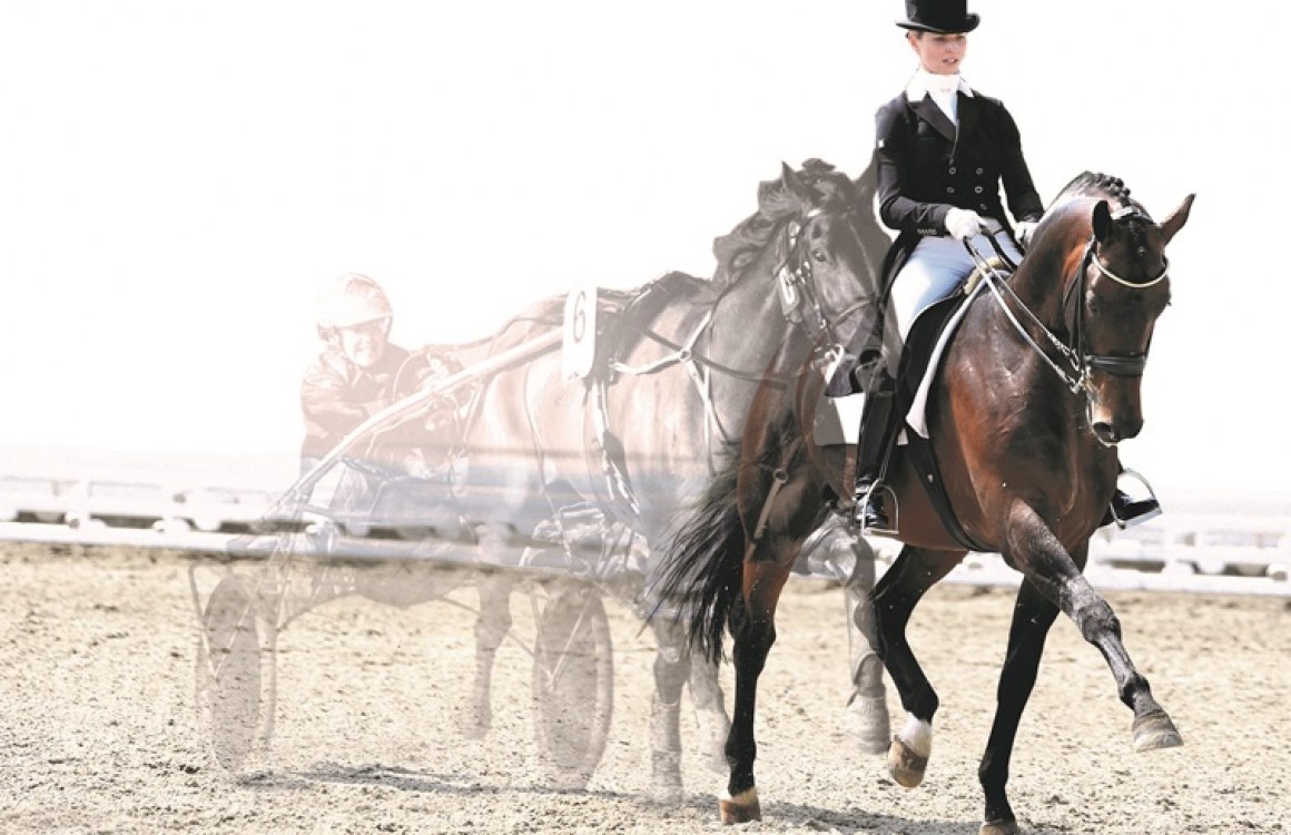 Dunstan's - Supporting Life After Racing