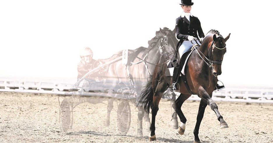 Dunstan's - Supporting Life After Racing