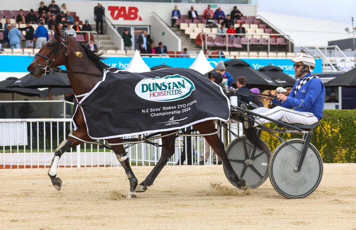 Special Award for Winning Trainer of Dunstan Sires Stakes Final