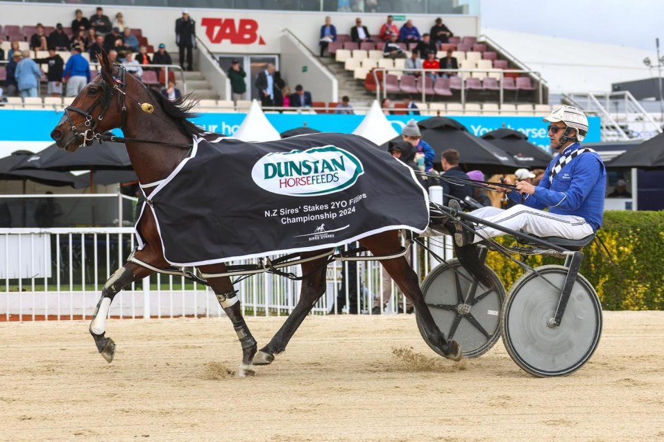 Special Award for Winning Trainer of Dunstan Sires Stakes Final