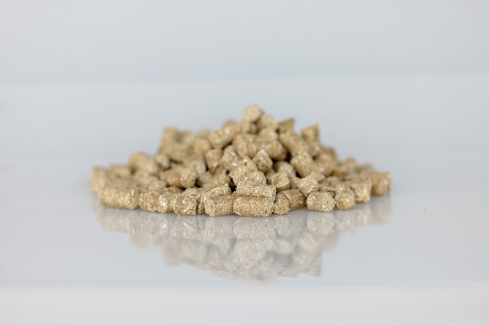 New Pellet Size for Dunstan Breed & Grow