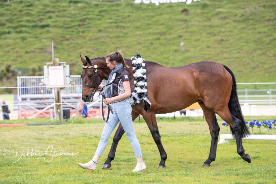 Woman walking a horse