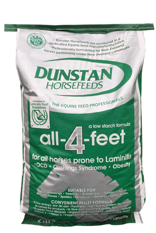Dunstan All-4-Feet