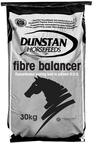 Dunstan Fibre Balancer