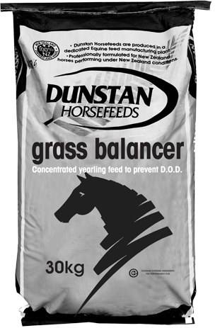 Dunstan Grass Balancer