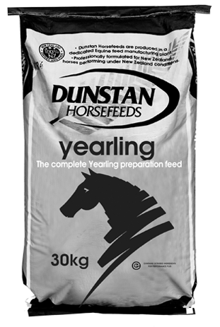 Dunstan Yearling