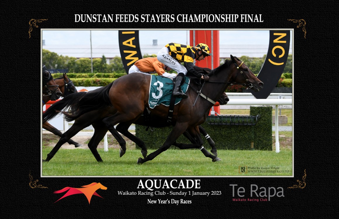 Aquacade - Lance Noble