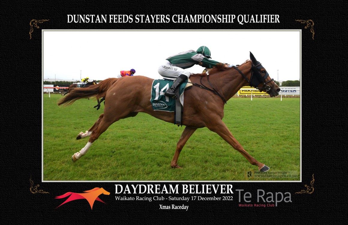 Daydream Believer - Catherine Cameron