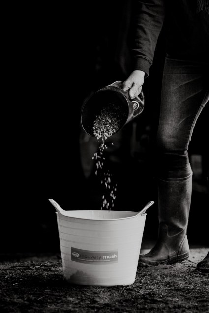 Should I be adding Salt to my horse’s diet?