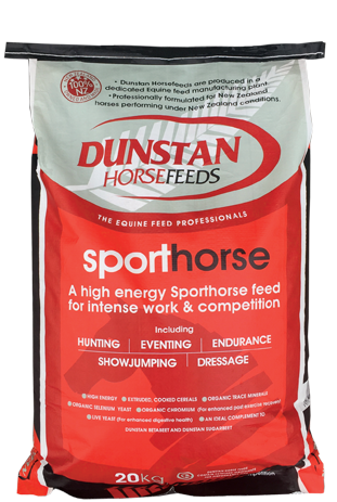 Dunstan Sport Horse