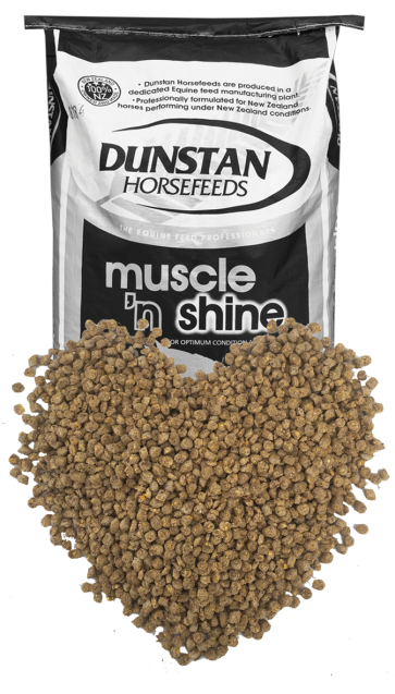 Dunstan Muscle n' Shine