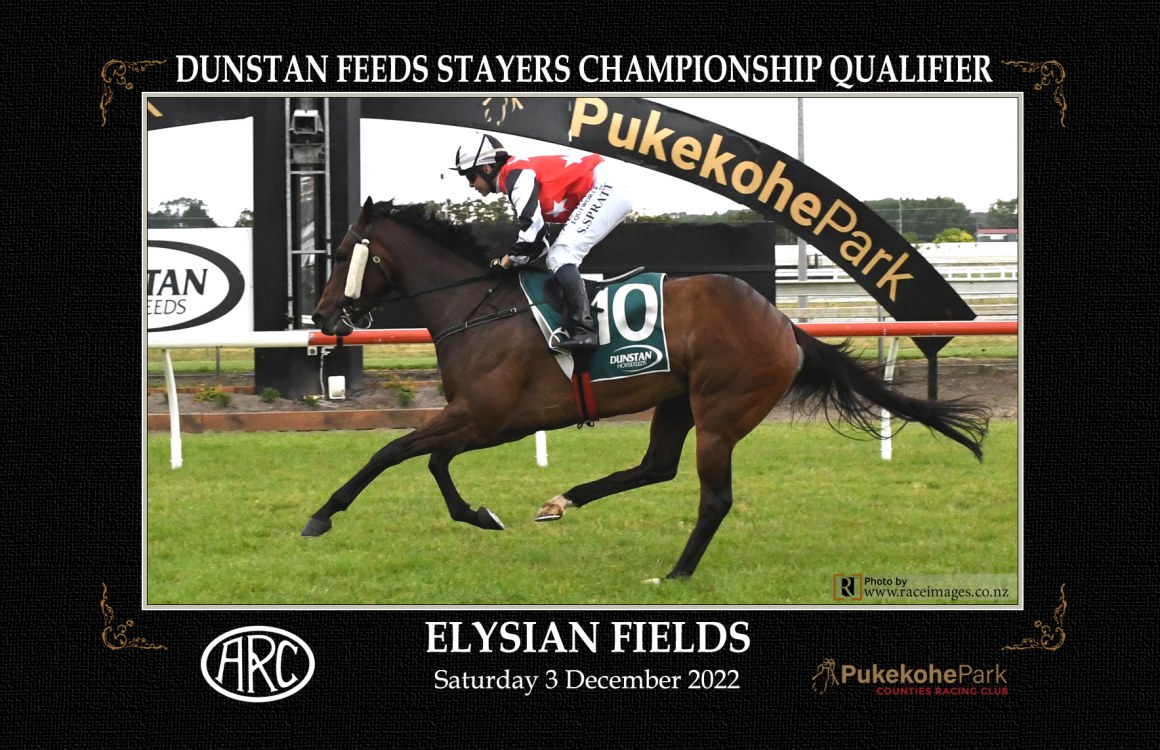 Elysian Fields - Michael Rogers