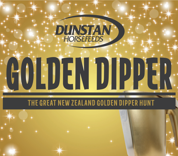 Dunstan Golden Dipper