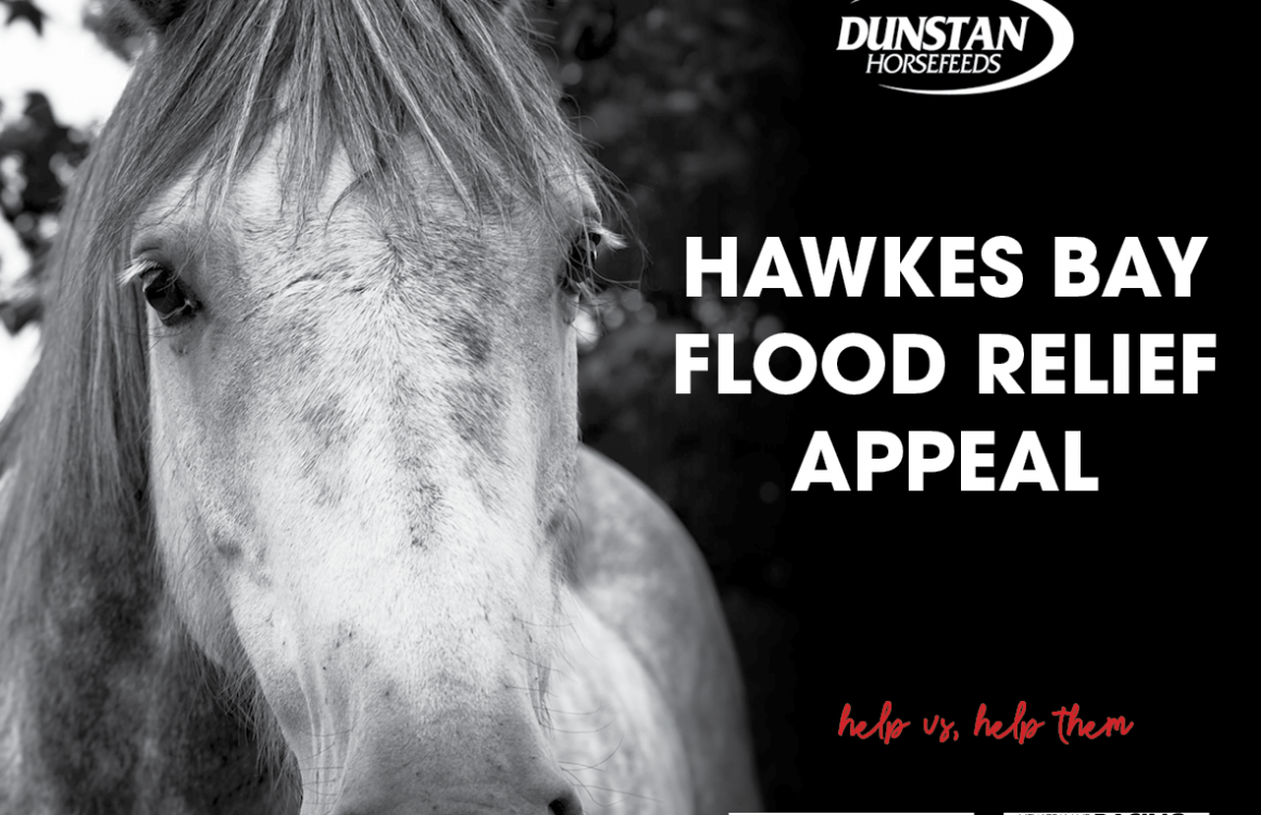 Hawke's Bay Flood Relief Appeal