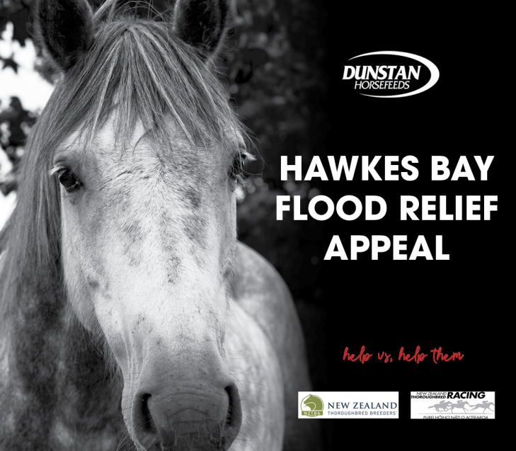 Hawke's Bay Flood Relief Appeal