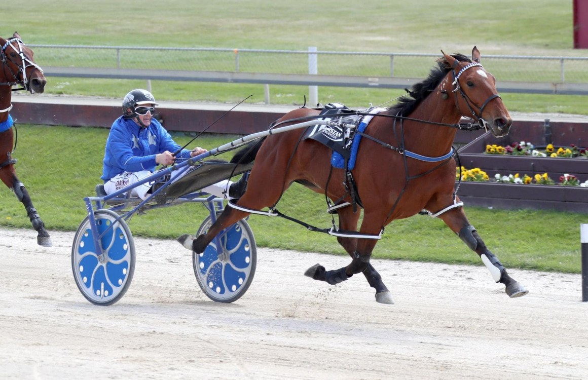 Millwood Nike - Mark Purdon