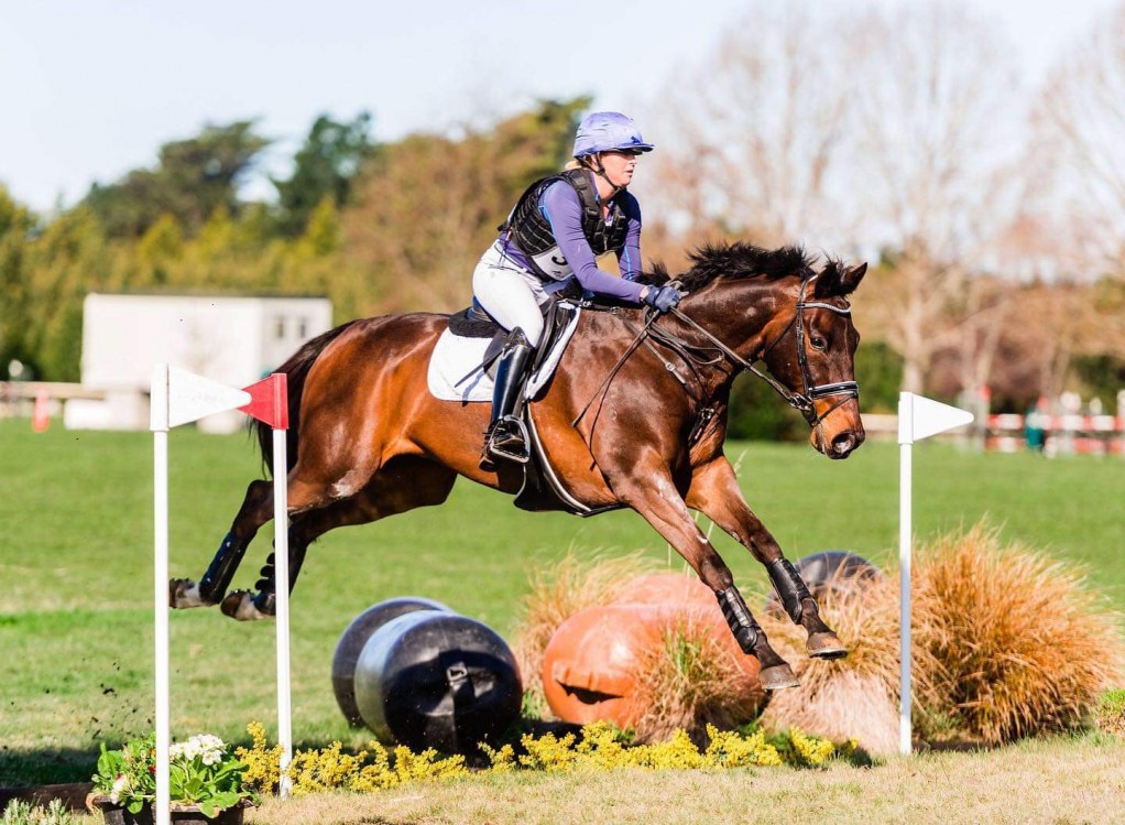 Tarryn Jones Equestrian