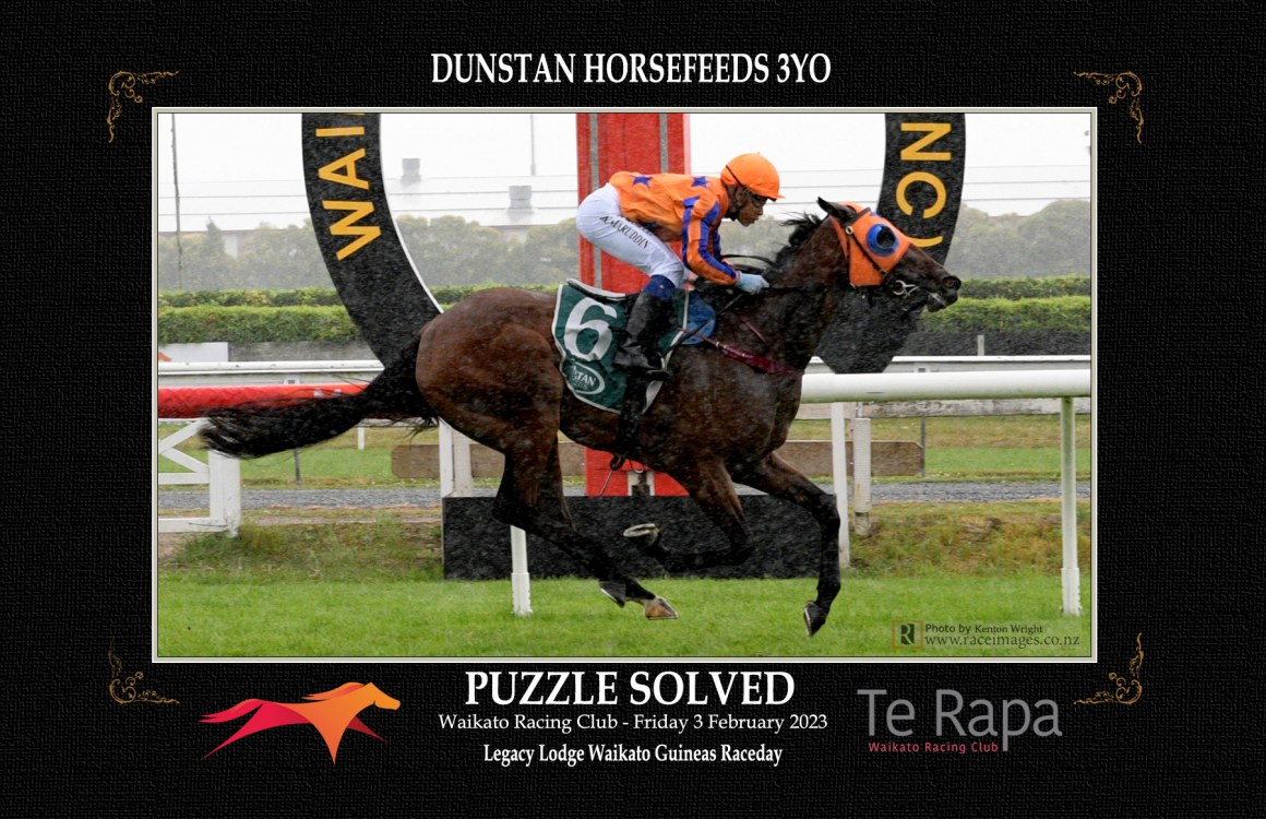 Puzzle Solved - Mark Walker