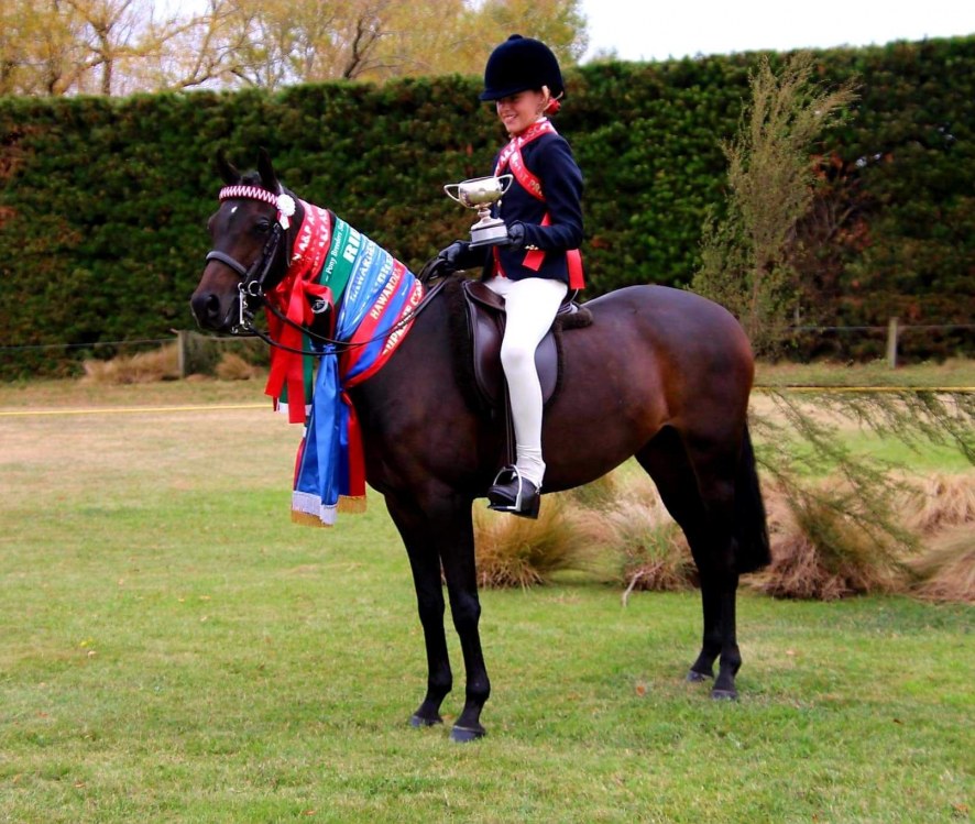 Jo & Jess Brechin, Brecland Park Equestrian