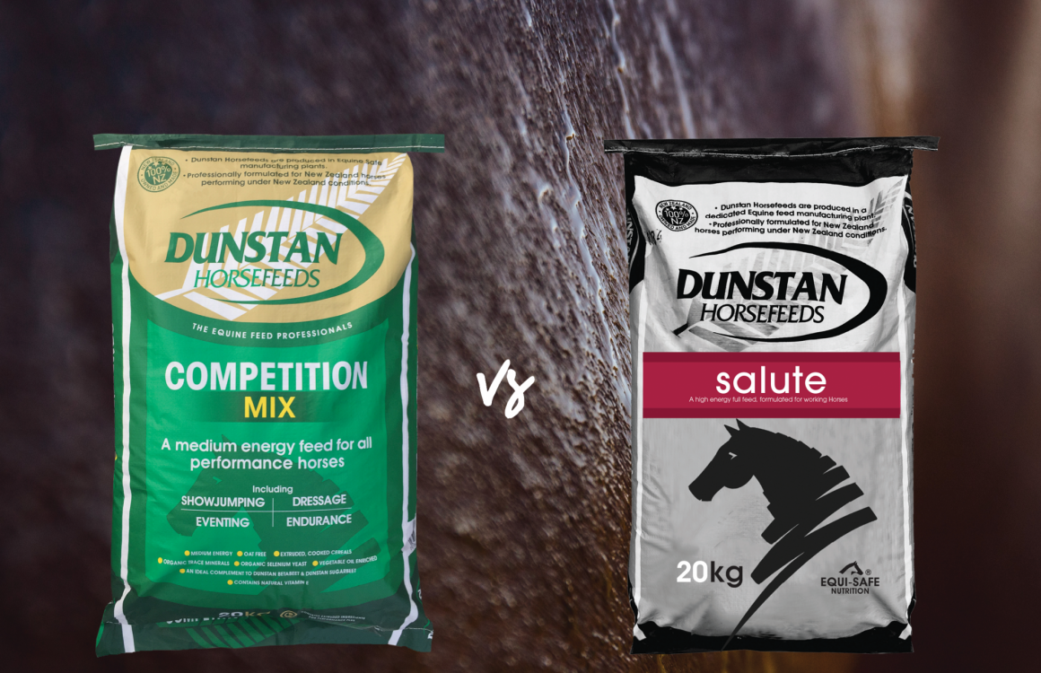 Dunstan Oat Free Textured Mueslis