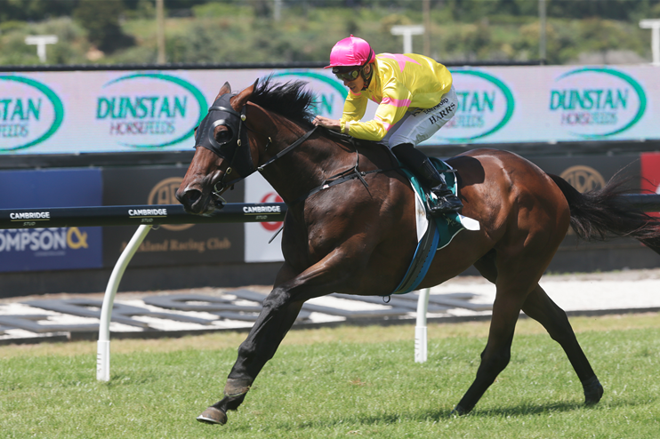 Dunstan Stayers Series