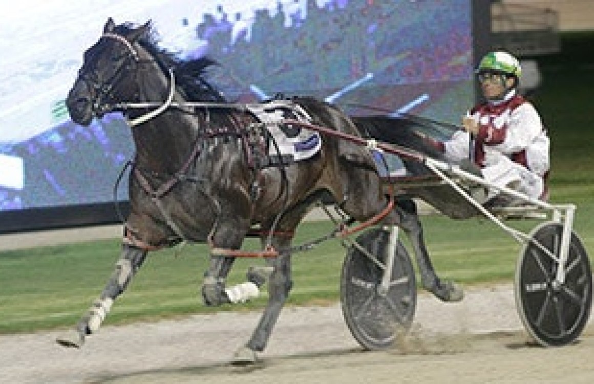 Dunstan Horsefeeds to partner Sires’ Stakes Fillies’ Series