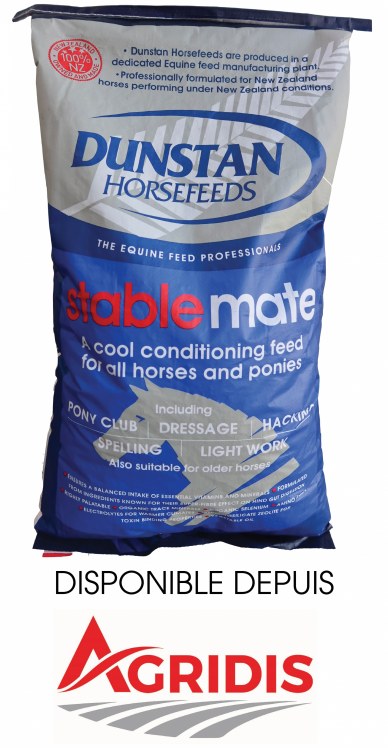 Dunstan Stable Mate