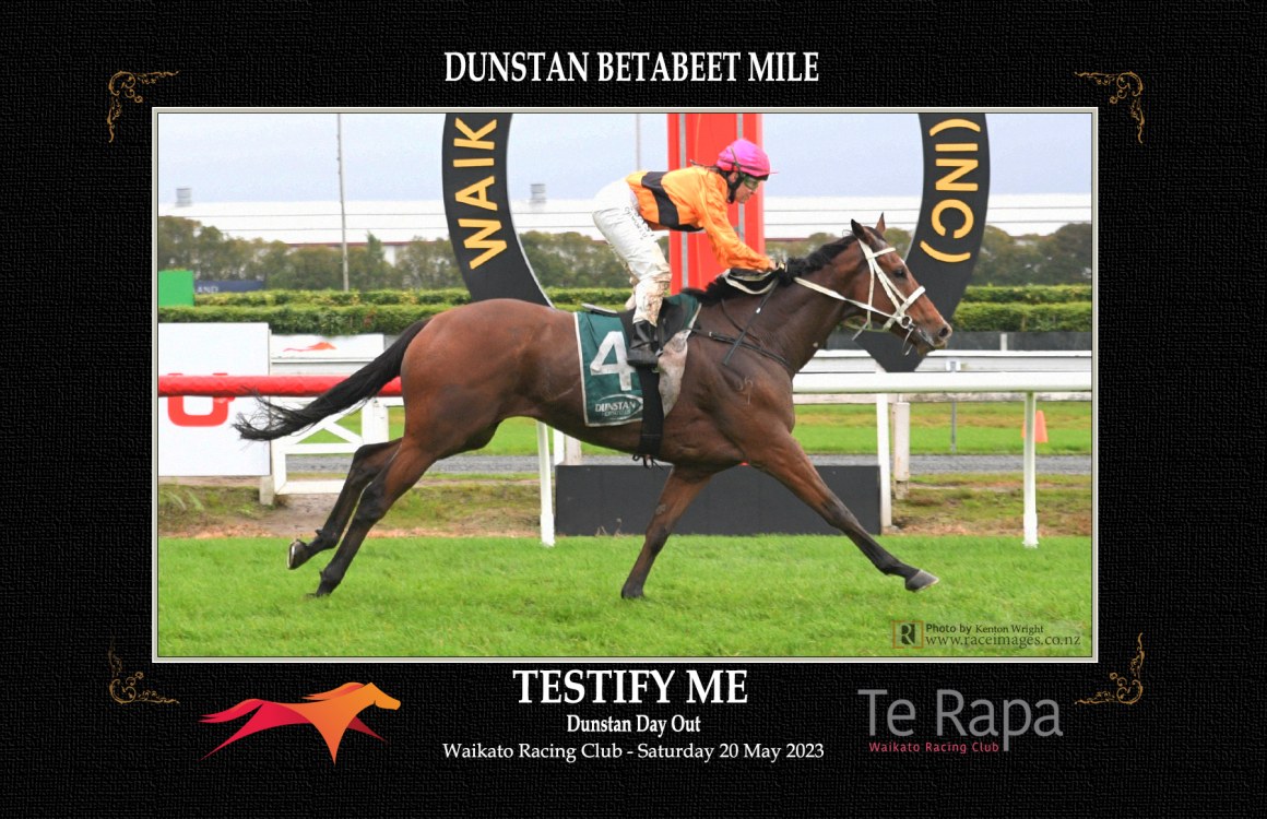 Testify Me - Janelle Millar
