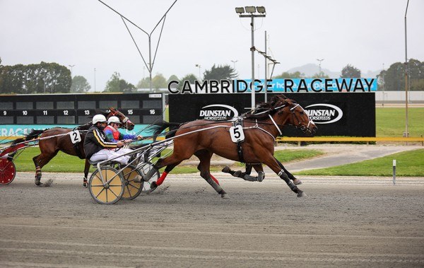 Adrienne Matthews
Harness Racing Trainer