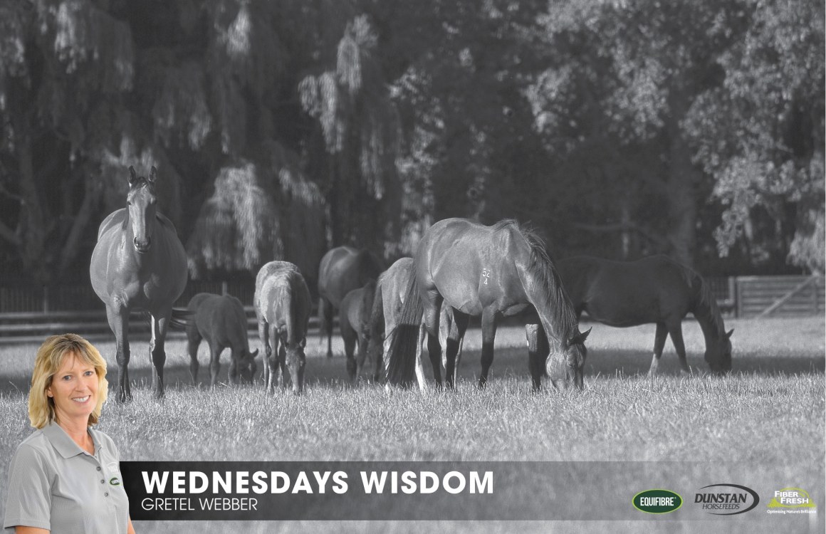 Wednesday's Wisdom