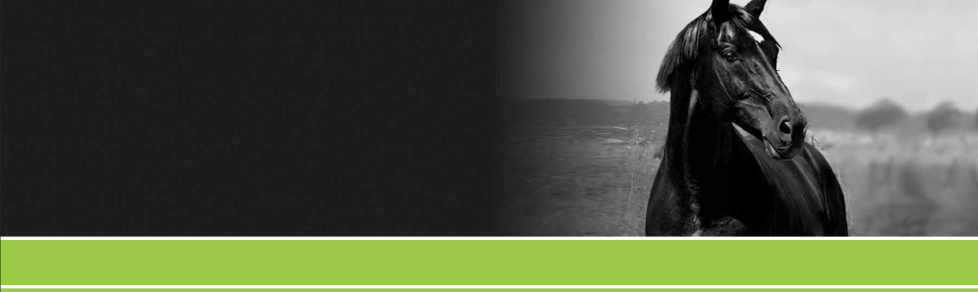 Lucerne Pro Products Dunstan Horse Feeds NZ