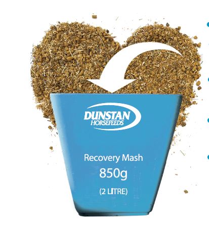 Dunstan Recovery Mash Infographic